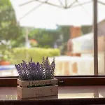 Apartman Nunzia