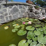 Nunzia Apartman